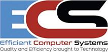 Efficient Computer Systems